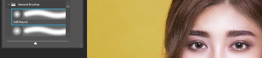 Step 3 Soft Round Brush