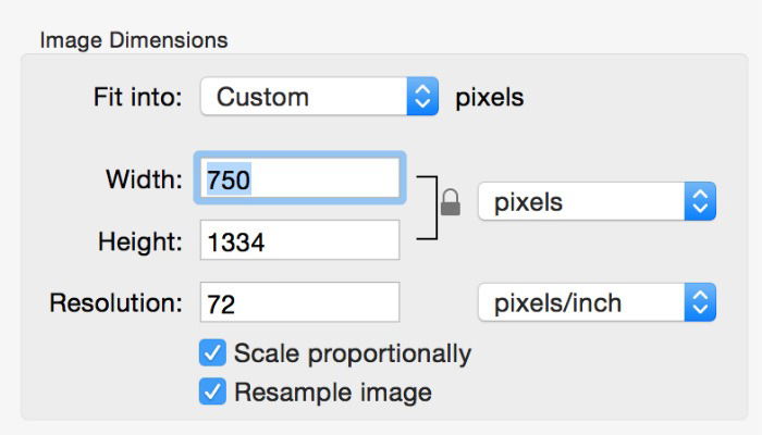 Изображение в приложении Preview с открытым меню для изменения размера
