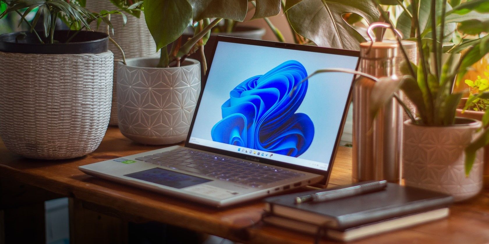 Поиск на панели задач Windows 11 — советы и настройка