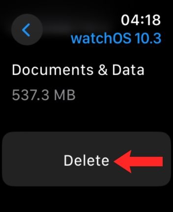 Хранение Apple Watch с выделенной опцией удалить обновление watchOS