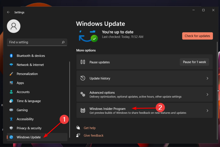 windows insider program