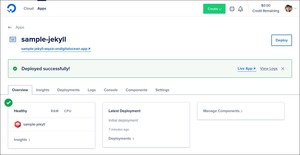 Скриншот панели App Platform — Overview