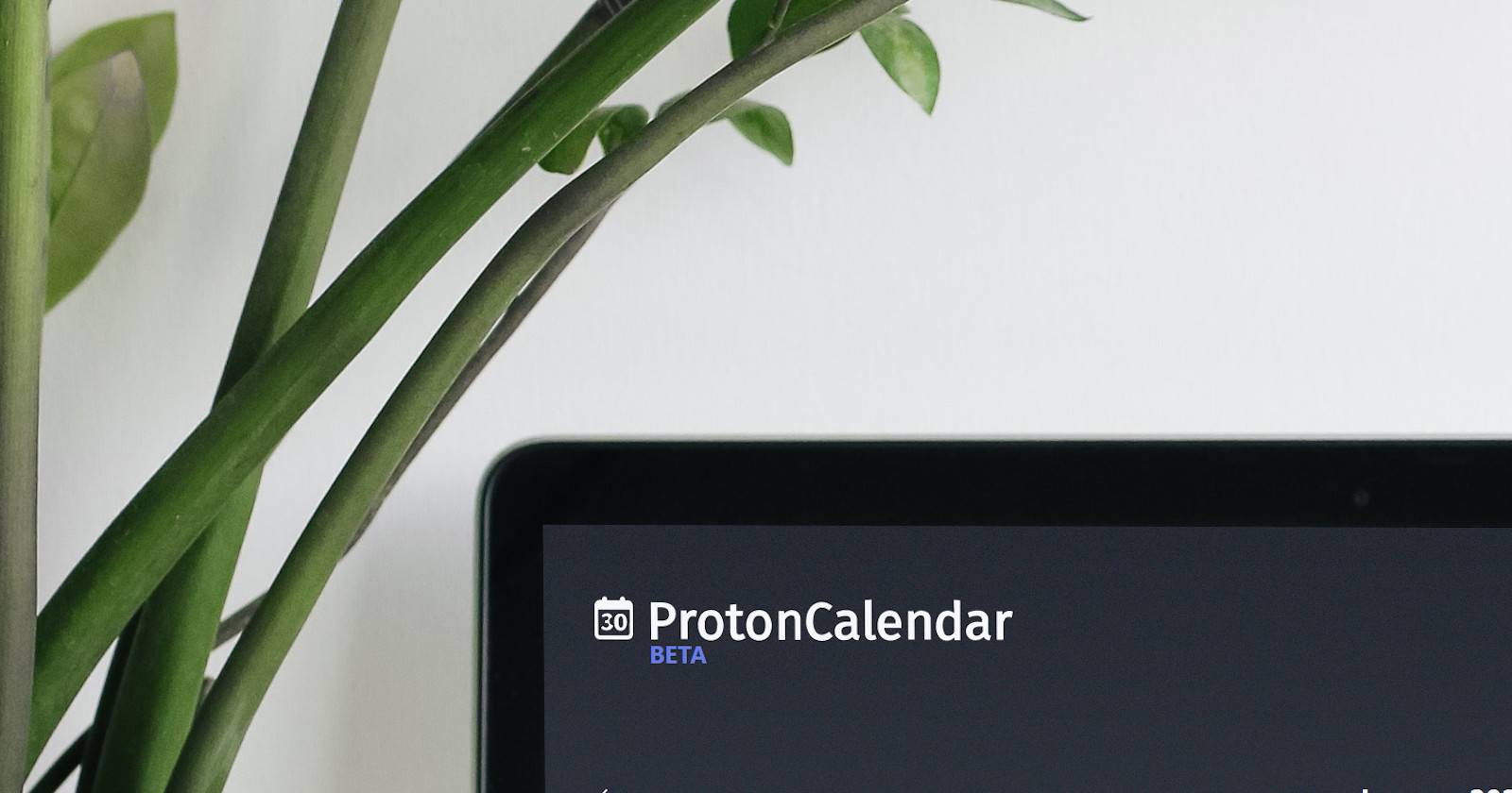 Ноутбук с открытым ProtonCalendar (бета)