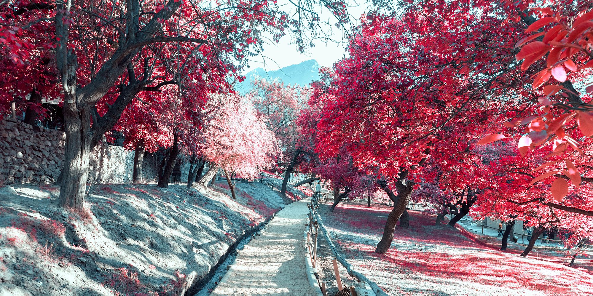 Инфракрасная тропа в природе