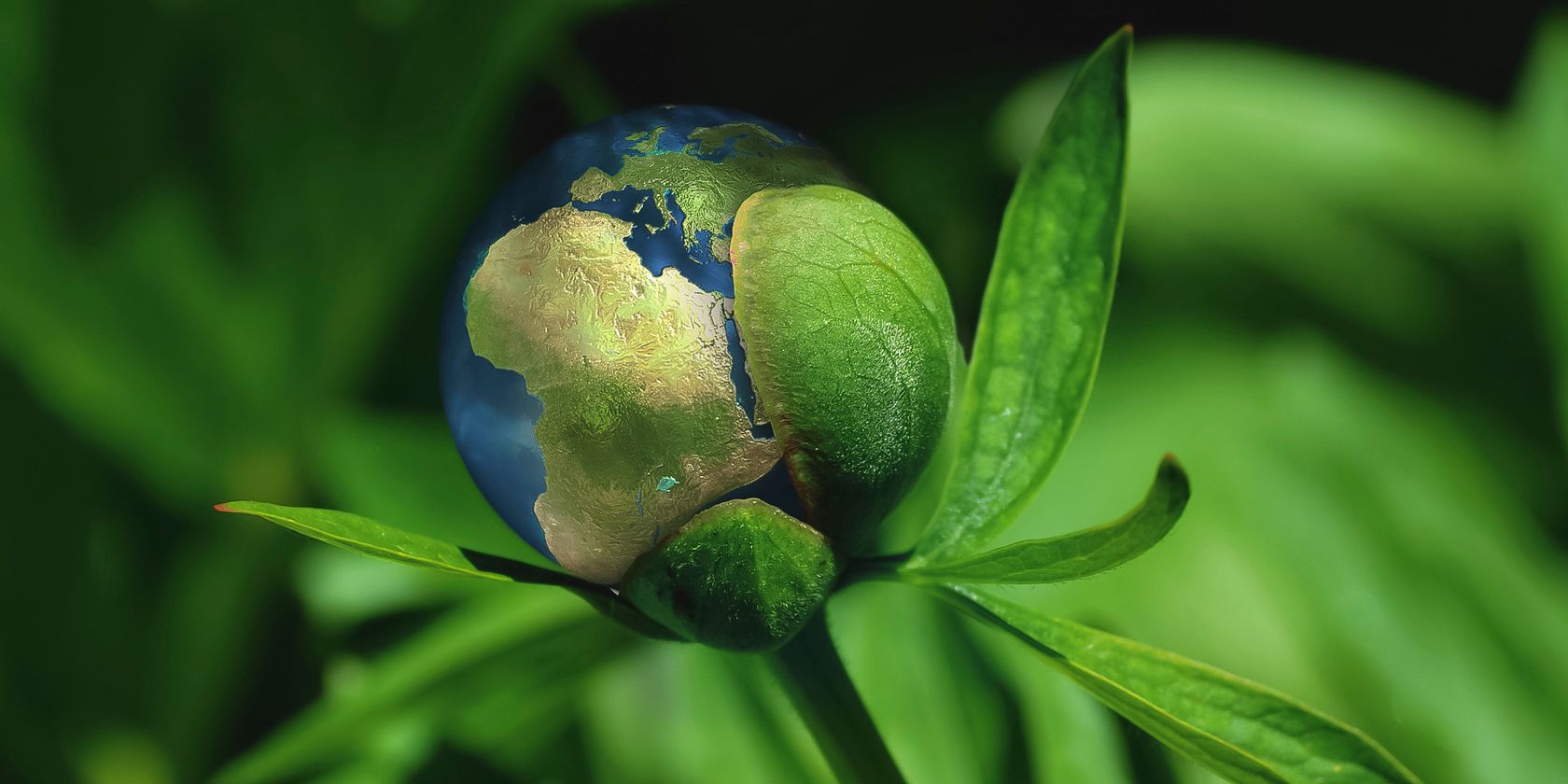 12 подкастов о климате и устойчивом образе жизни