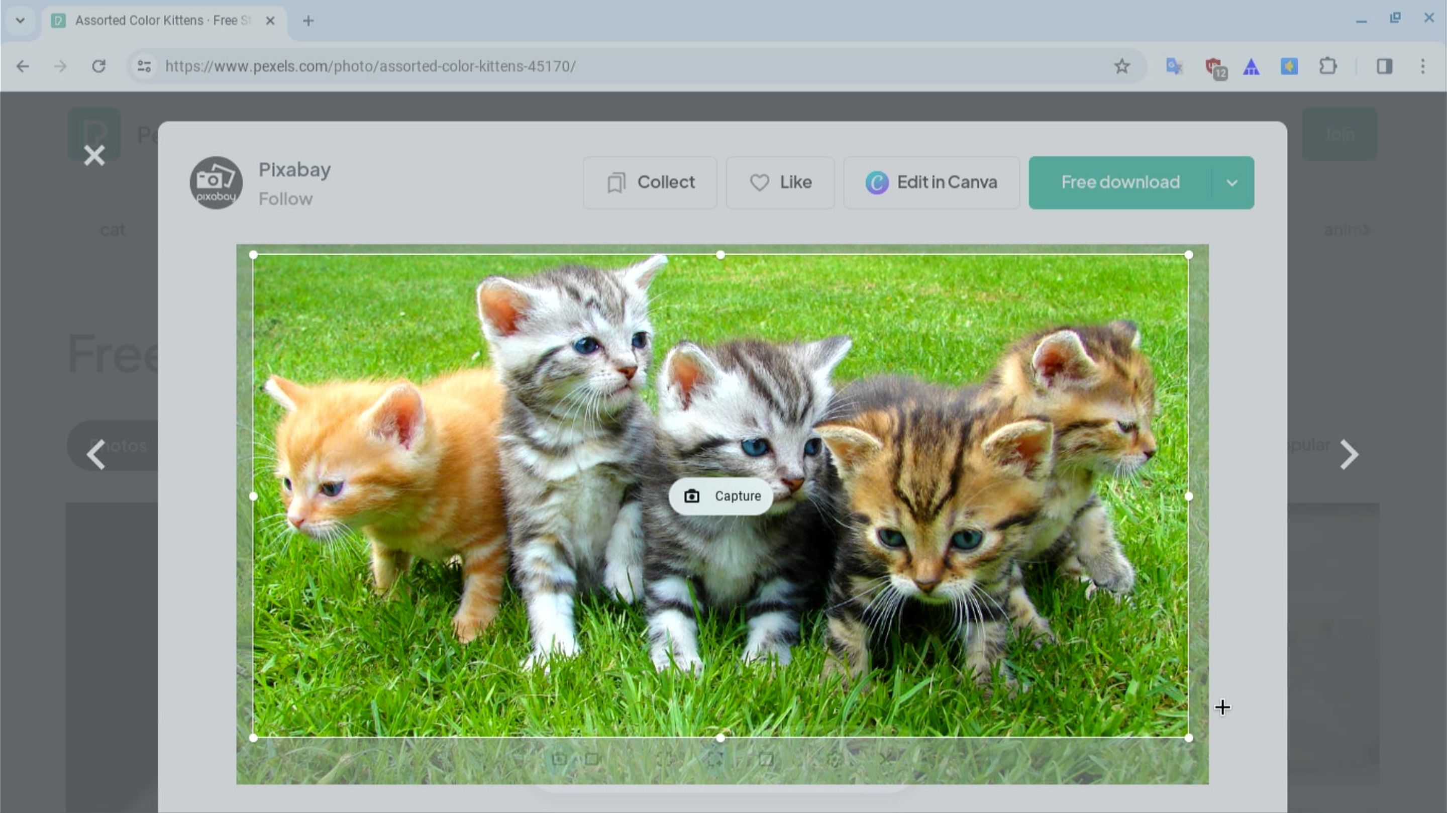 Выделение области экрана для захвата в ChromeOS