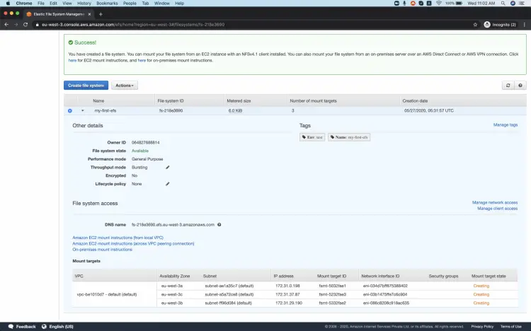 Создание EFS успешно