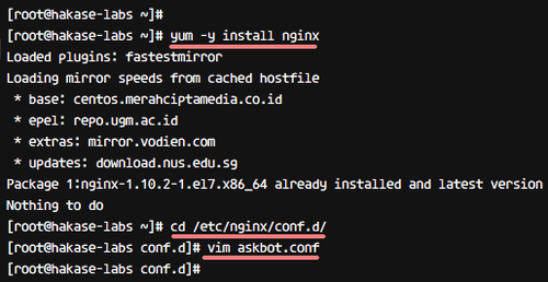 Установка Nginx и конфигурация виртуального хоста