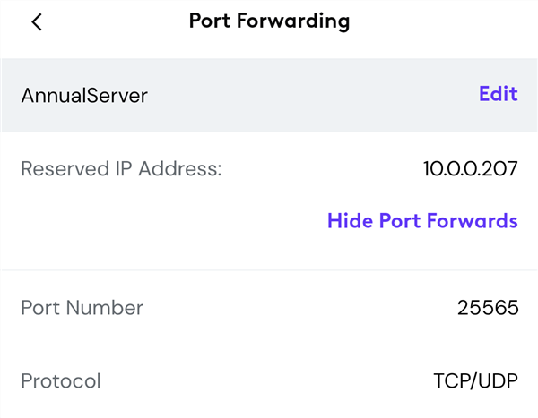 Пример настроек проброса портов для Minecraft