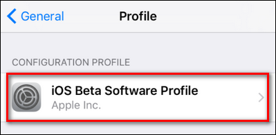 Страница профиля iOS Beta Software Profile