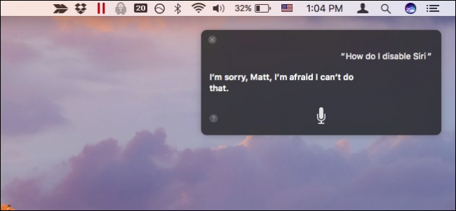 Siri в macOS Sierra: настройка и отключение