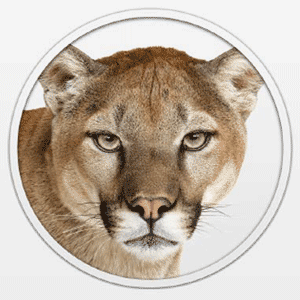 Установка Mountain Lion на ПК — полное руководство