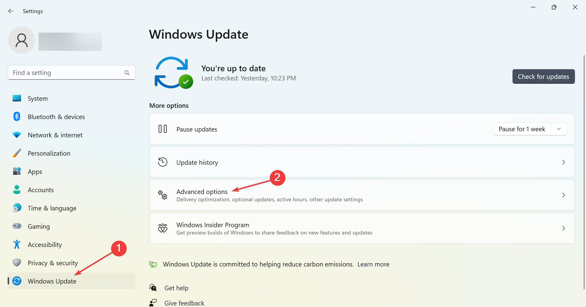 Экран дополнительных параметров Windows Update