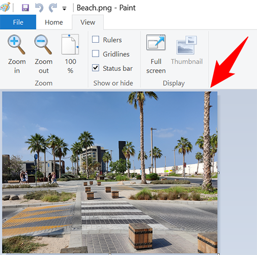 PNG в окне Paint.
