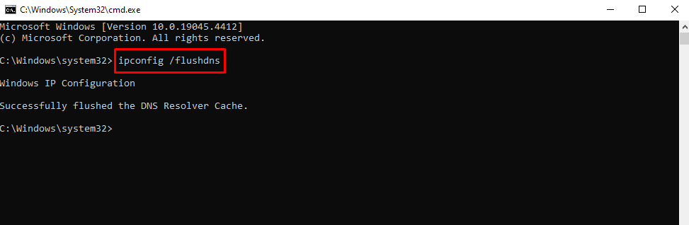 Выполнение ipconfig /flushdns