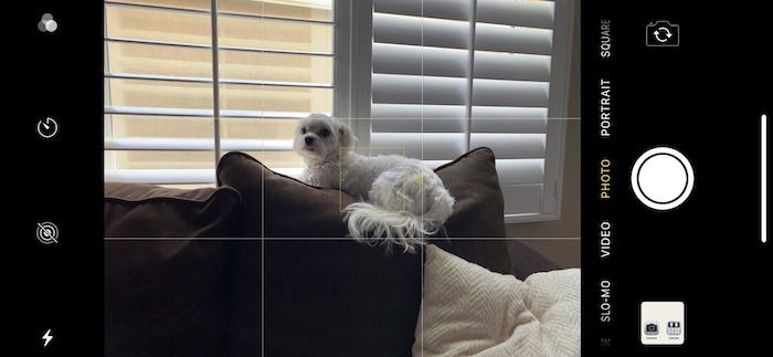 Пример ручной фокусировки касанием экрана iPhone — жёлтая рамка у объекта