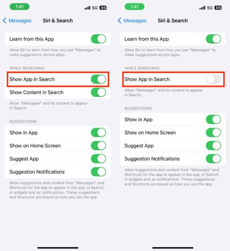 show content in search