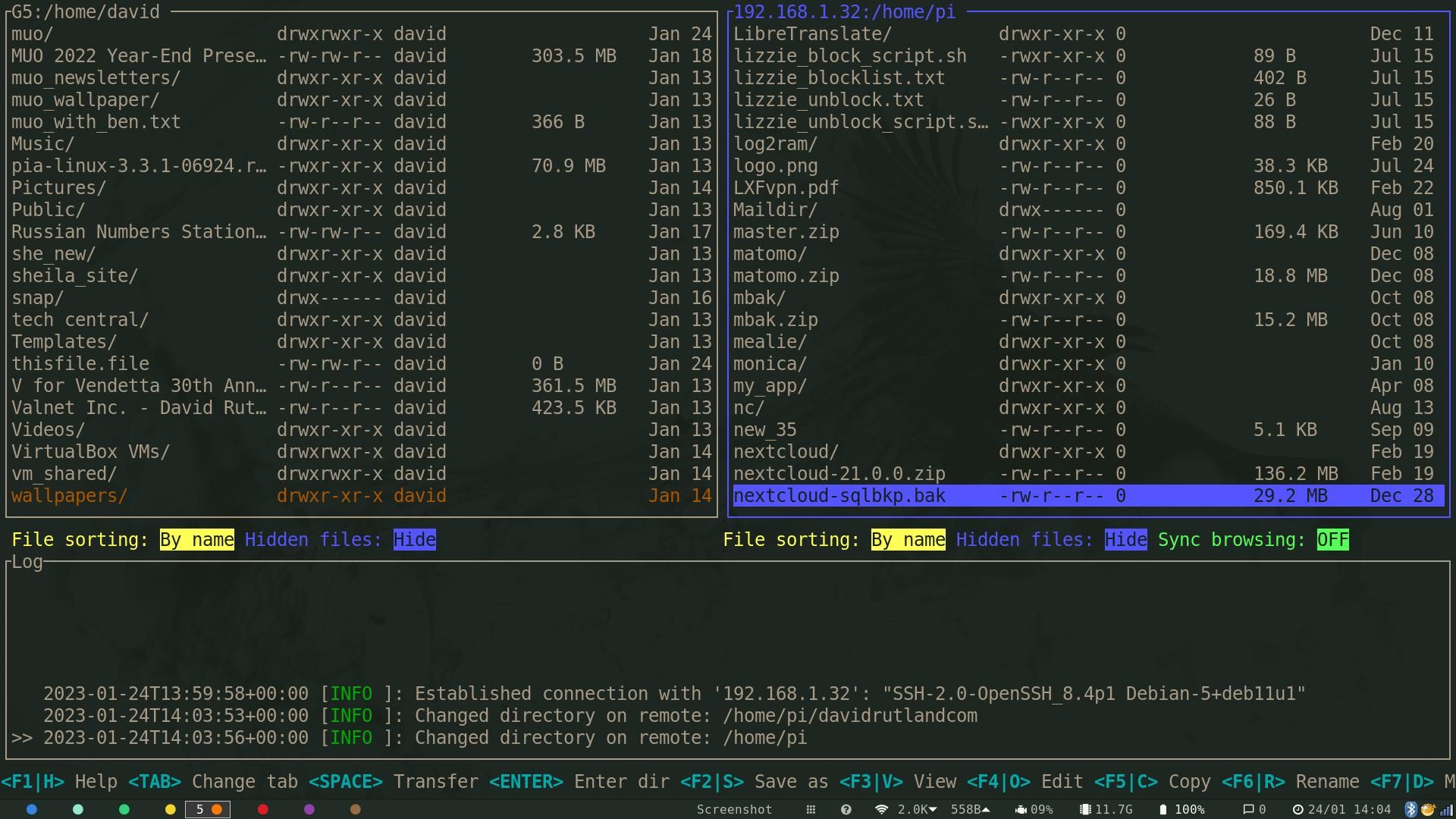 Вид файлового менеджера в termscp