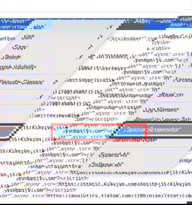 Выберите Capture Screenshot в контекстном меню Web Inspector