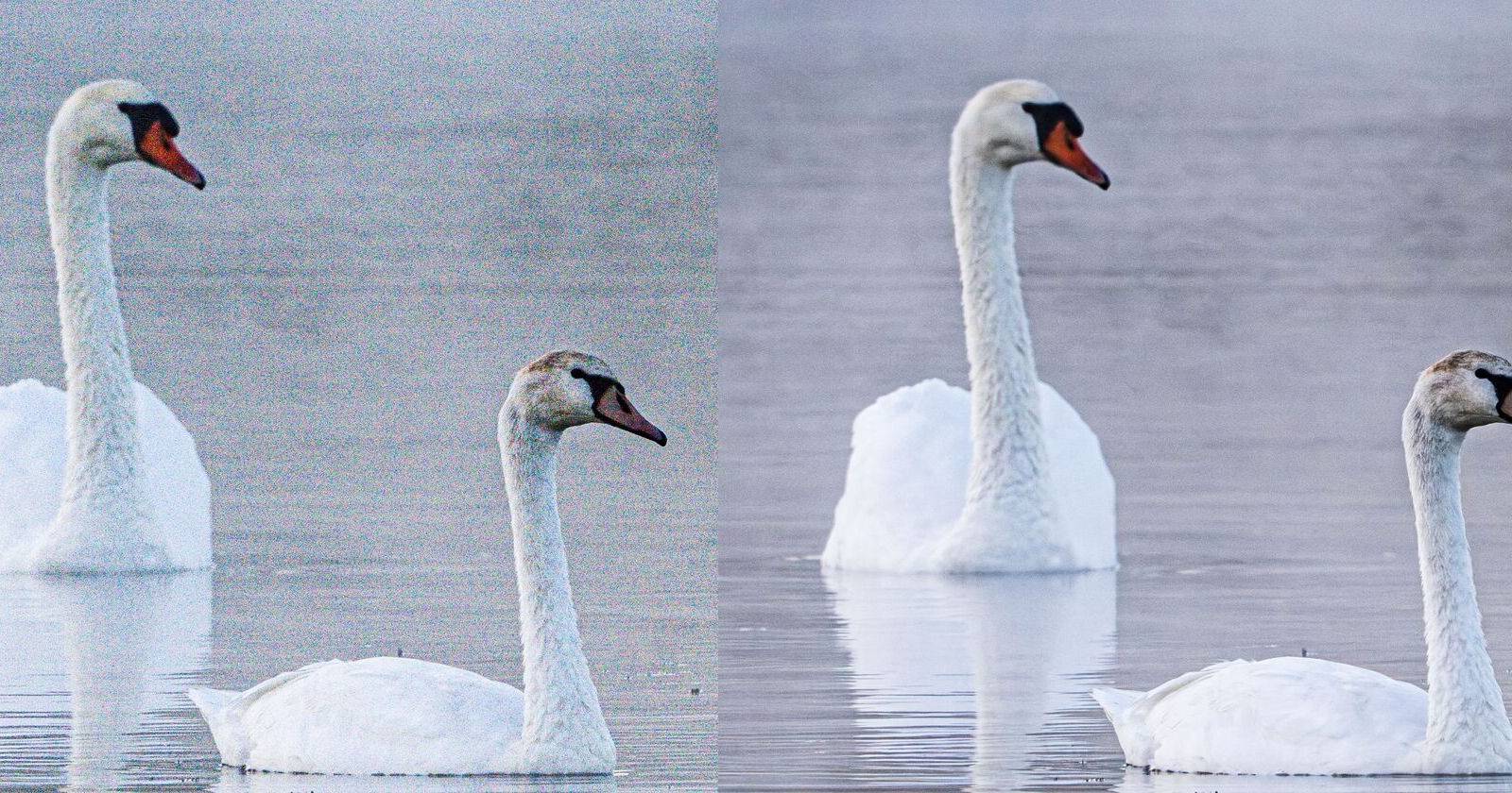 Снижение шума в Adobe Lightroom