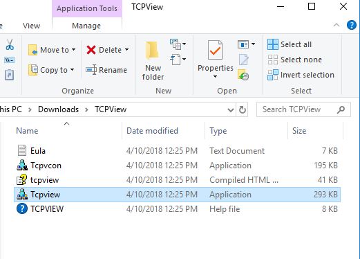 Avvio dell'applicazione TCPView