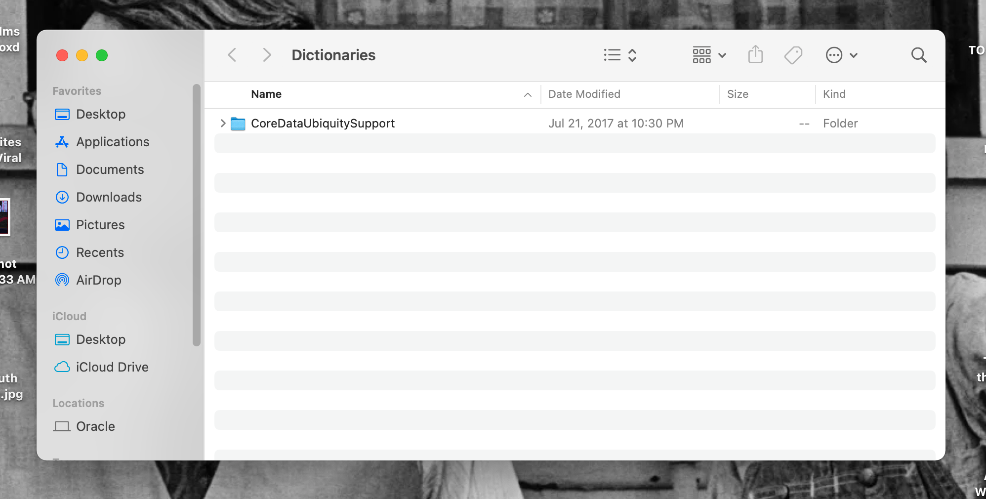 Содержимое папки Dictionaries в Finder на Mac