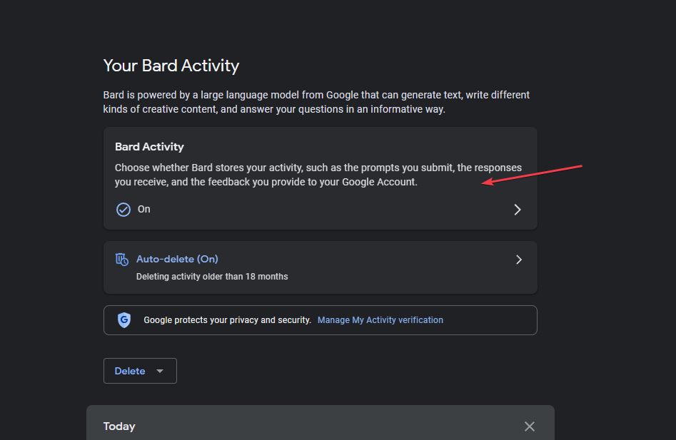 Секция 'Your Bard Activity' на странице настроек Bard