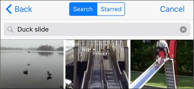 Как отправлять GIF в WhatsApp