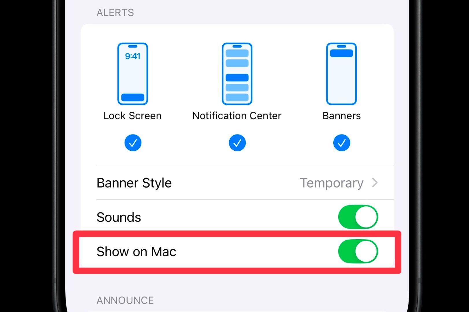 Параметр для отображения уведомлений приложения на Mac в настройках iOS.