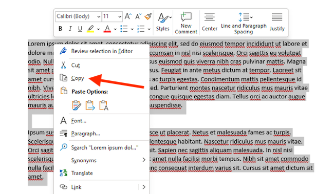 Выделение и копирование текста в Word