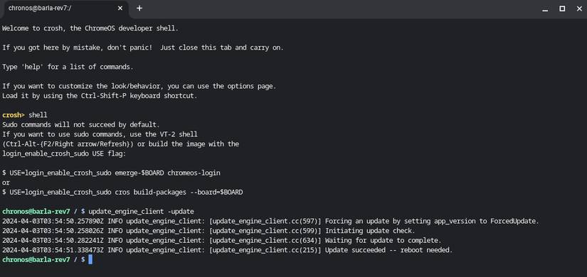 Обновление клиента update_engine в режиме разработчика.