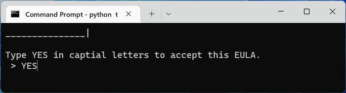 Терминал theZoo: подтверждение лицензионного соглашения EULA