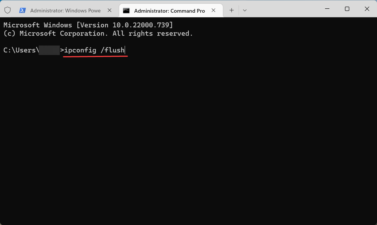 Выполнение ipconfig /flush