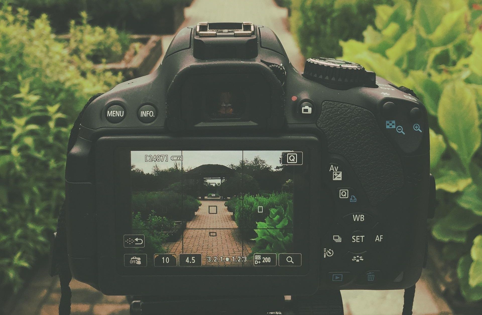 Camera Viewfinder showing Focus points
