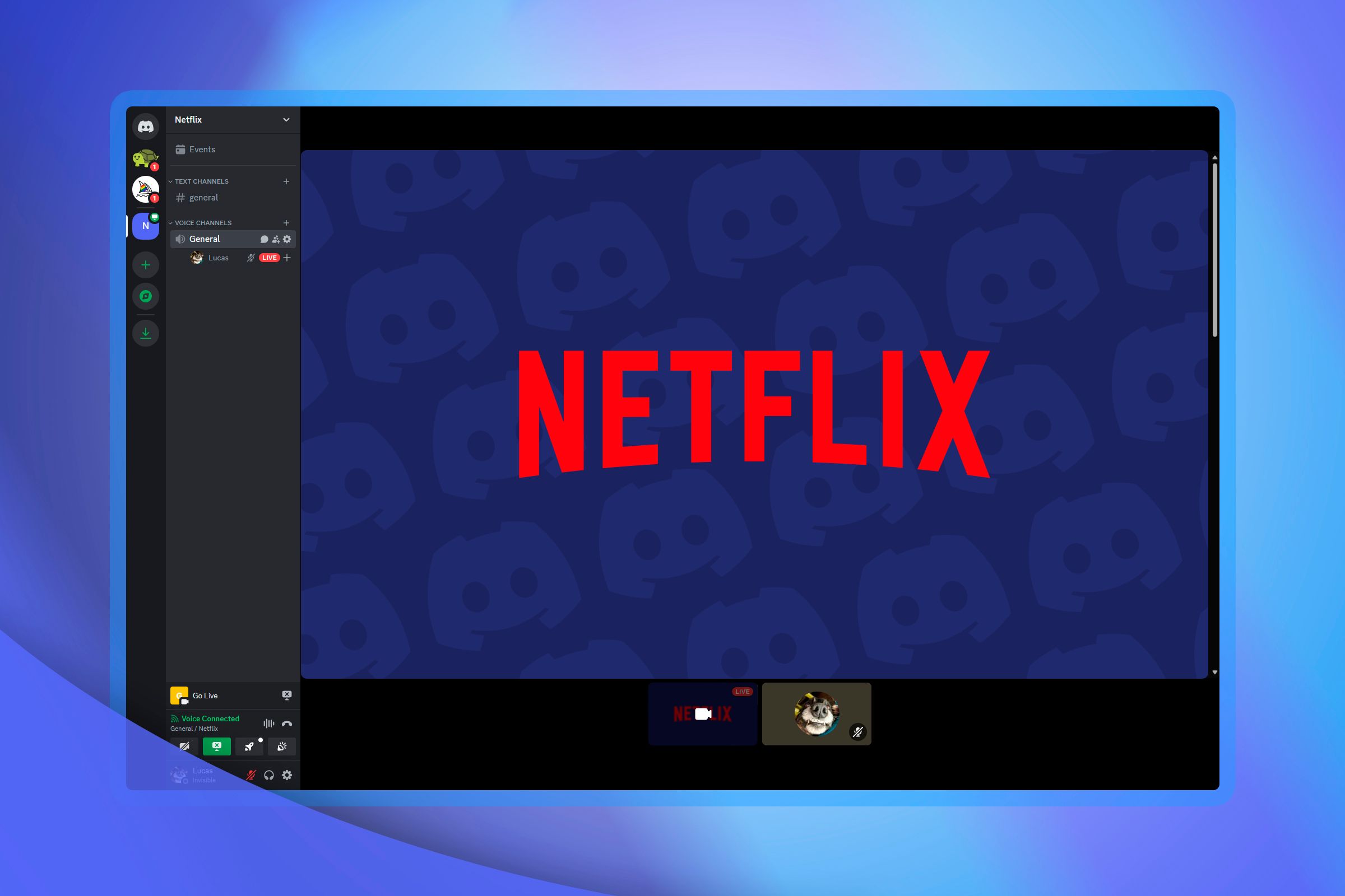 Прямая трансляция в Discord с логотипом Netflix.
