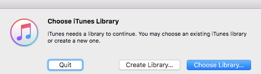 Выбор библиотеки iTunes