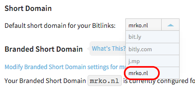 Выбор основного домена в настройках Bitly