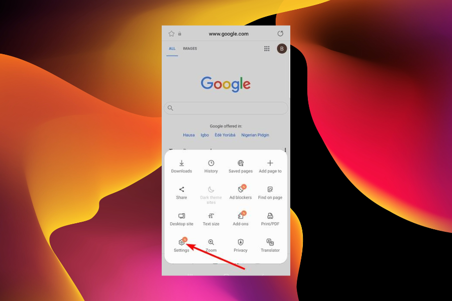 Раздел Настройки в Samsung Internet