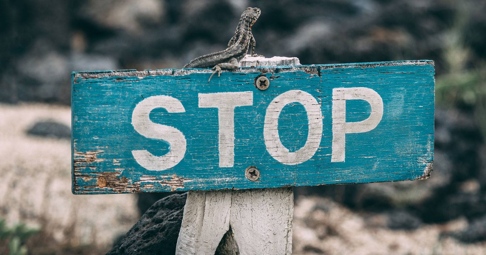 Как заблокировать сайты на Android