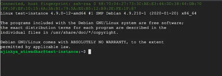 SSH-сессия в браузере, подключённая к VM на Ubuntu