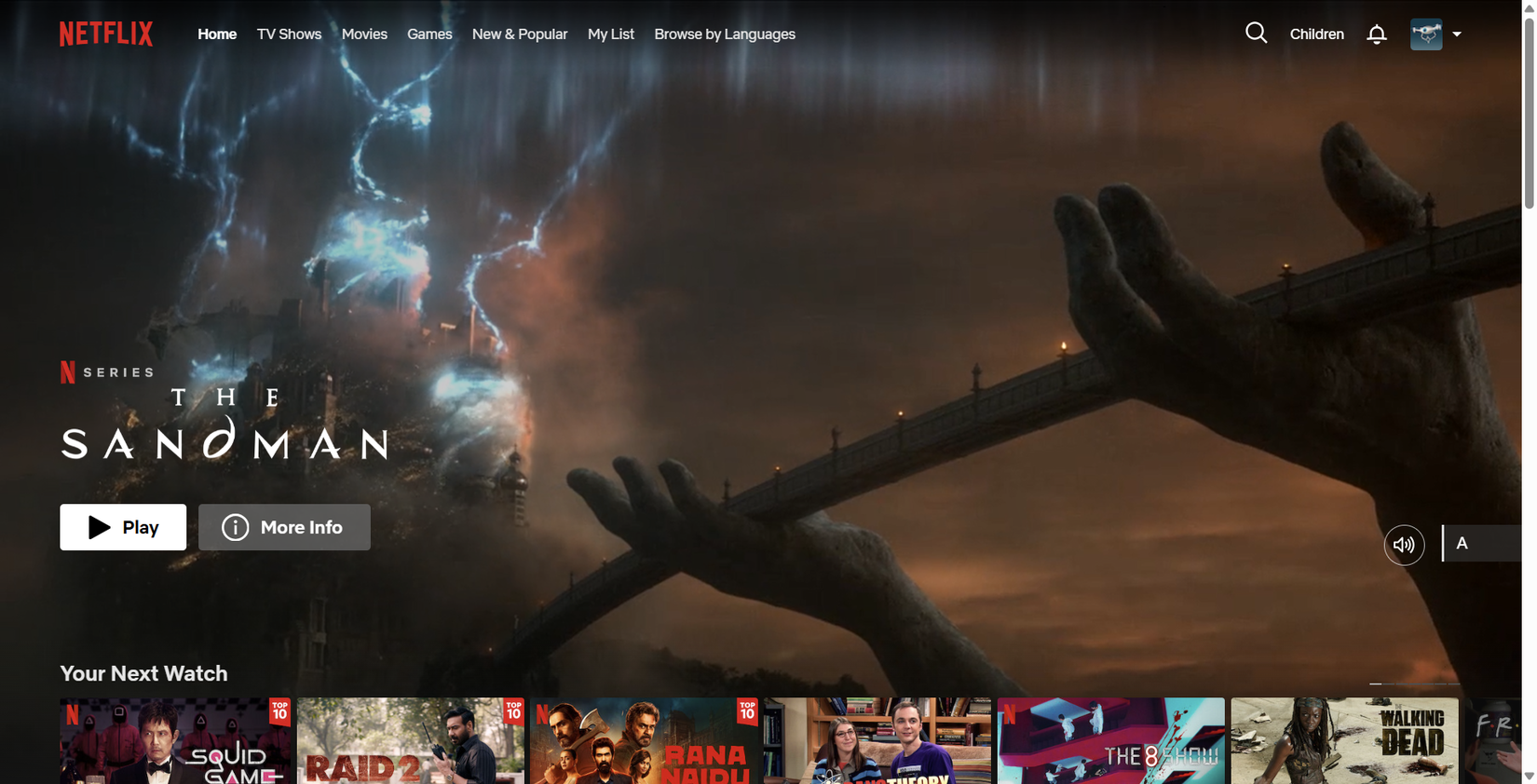 Homepage of the Netflix interface