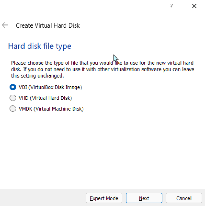 Тип виртуального диска — VDI