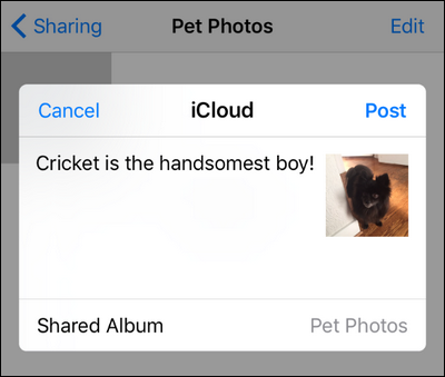 Окно добавления подписи к фото перед публикацией