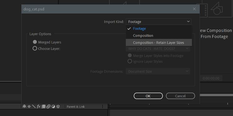 Окно импорта в After Effects: выбор типа импорта