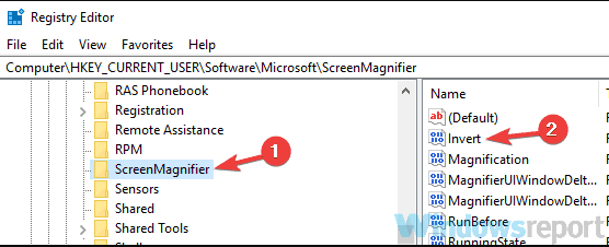 Параметр Invert в реестре Лупы
