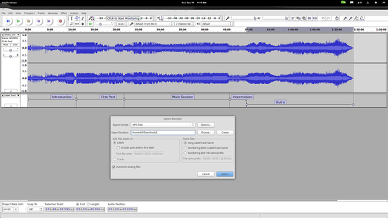 Окно экспорта нескольких файлов в Audacity
