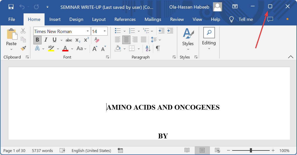 Максимизировать окно Word перед закрытием