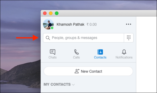 Поле поиска в приложении Skype