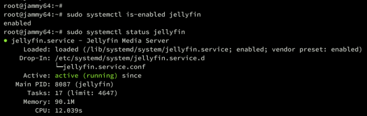 Проверка статуса службы jellyfin