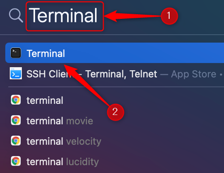Поиск «Terminal» в Spotlight и запуск приложения.